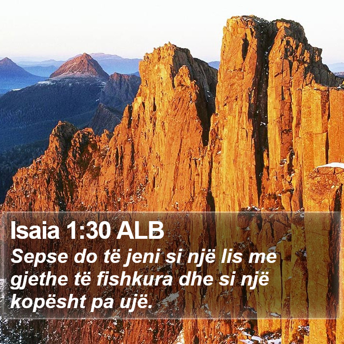 Isaia 1:30 ALB Bible Study