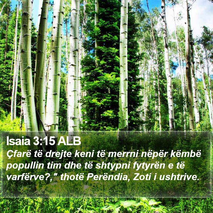 Isaia 3:15 ALB Bible Study