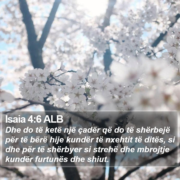 Isaia 4:6 ALB Bible Study