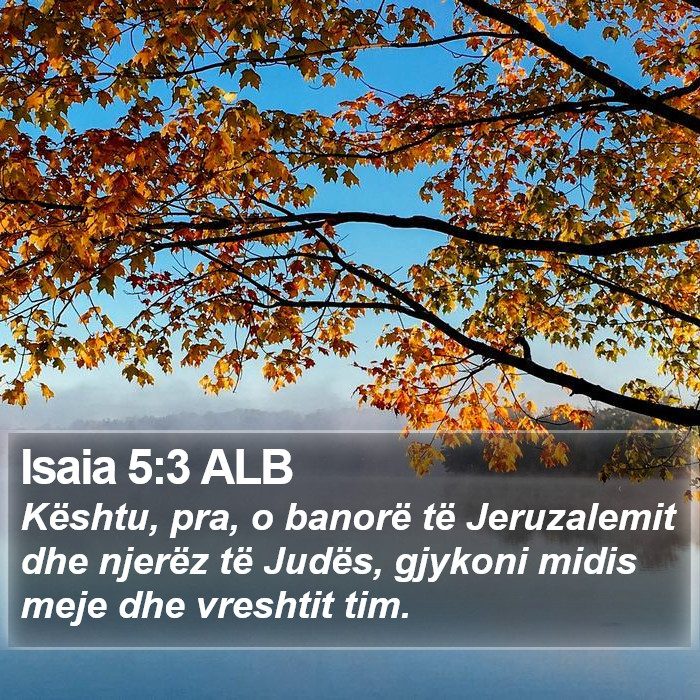 Isaia 5:3 ALB Bible Study