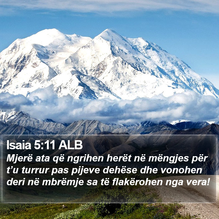 Isaia 5:11 ALB Bible Study