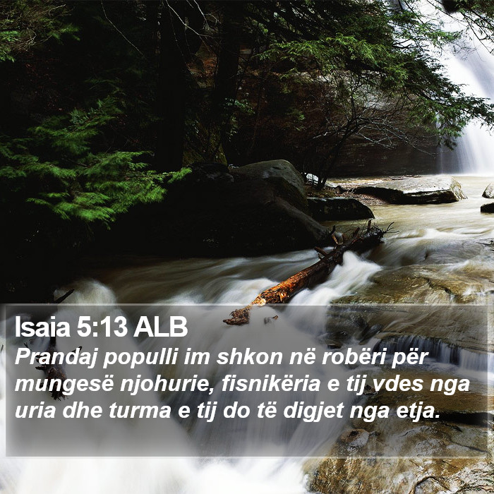 Isaia 5:13 ALB Bible Study