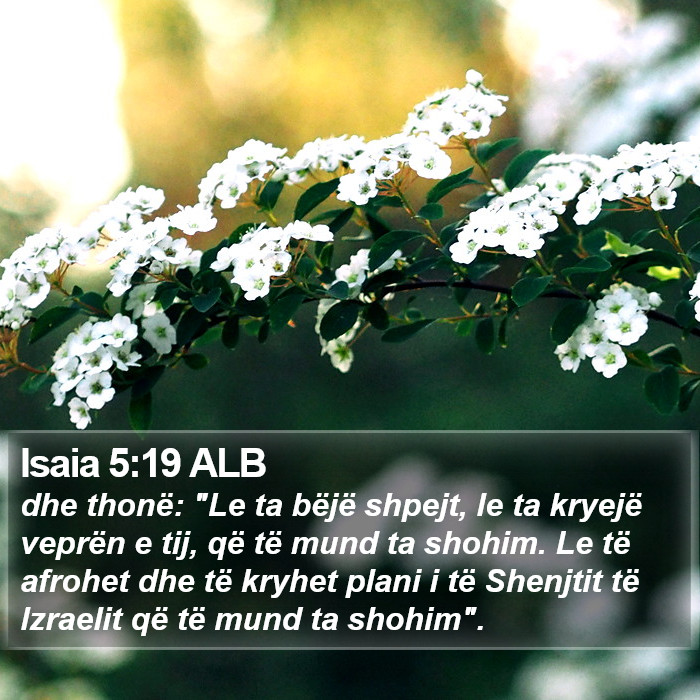 Isaia 5:19 ALB Bible Study
