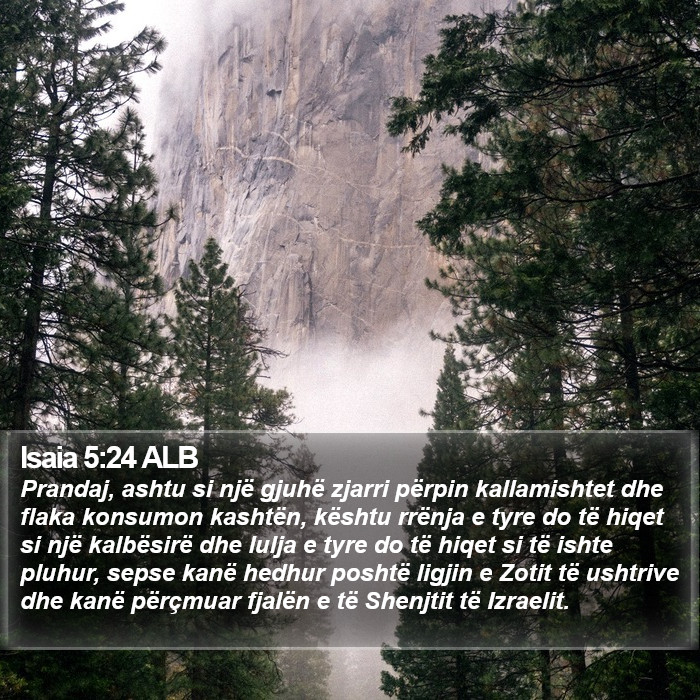 Isaia 5:24 ALB Bible Study