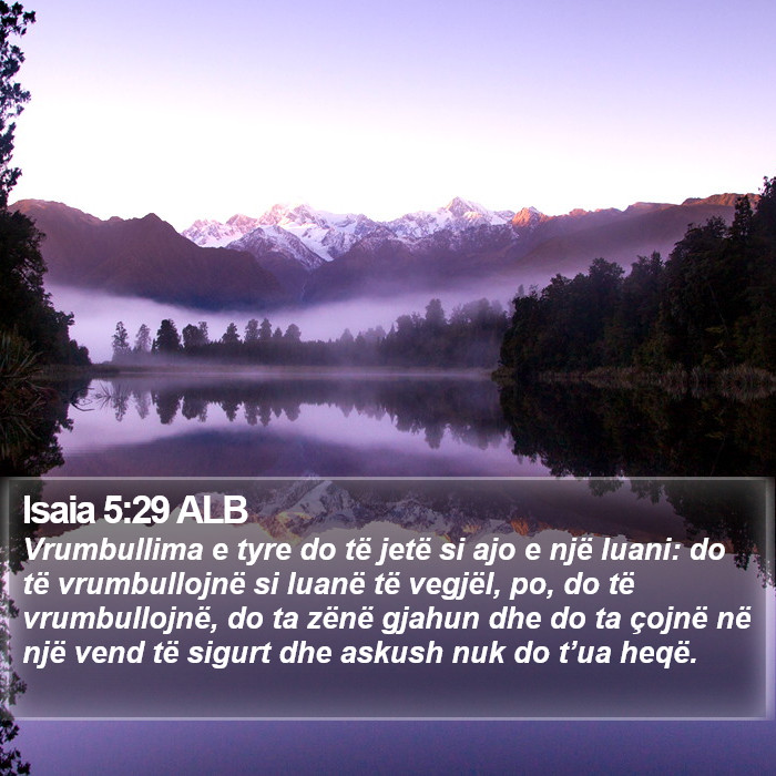 Isaia 5:29 ALB Bible Study