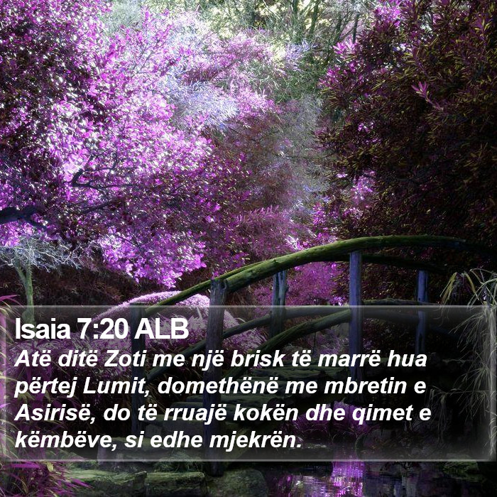 Isaia 7:20 ALB Bible Study