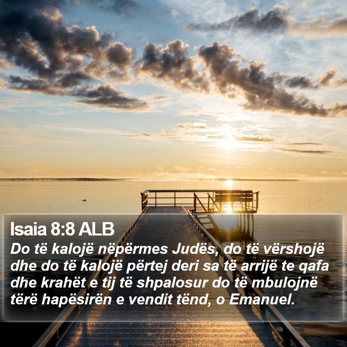 Isaia 8:8 ALB Bible Study