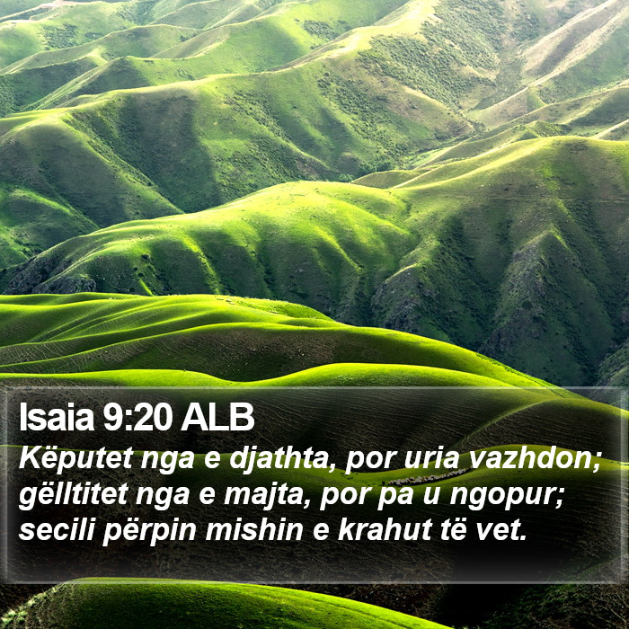 Isaia 9:20 ALB Bible Study