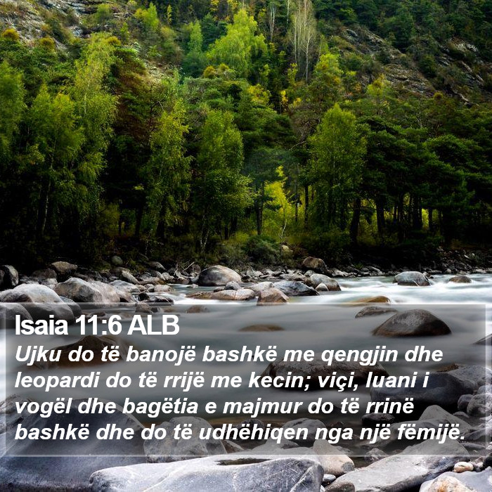 Isaia 11:6 ALB Bible Study