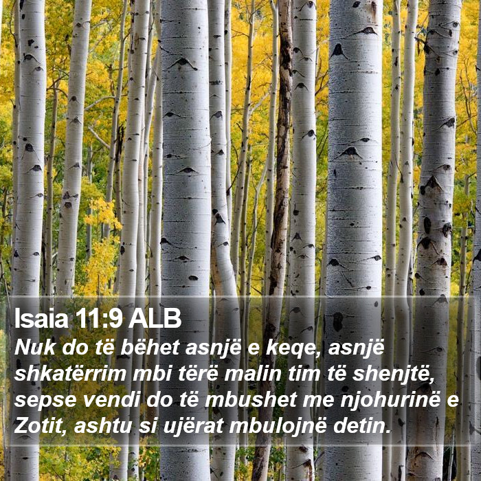 Isaia 11:9 ALB Bible Study