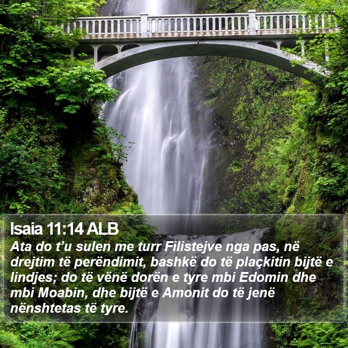 Isaia 11:14 ALB Bible Study
