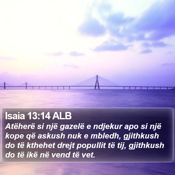 Isaia 13:14 ALB Bible Study