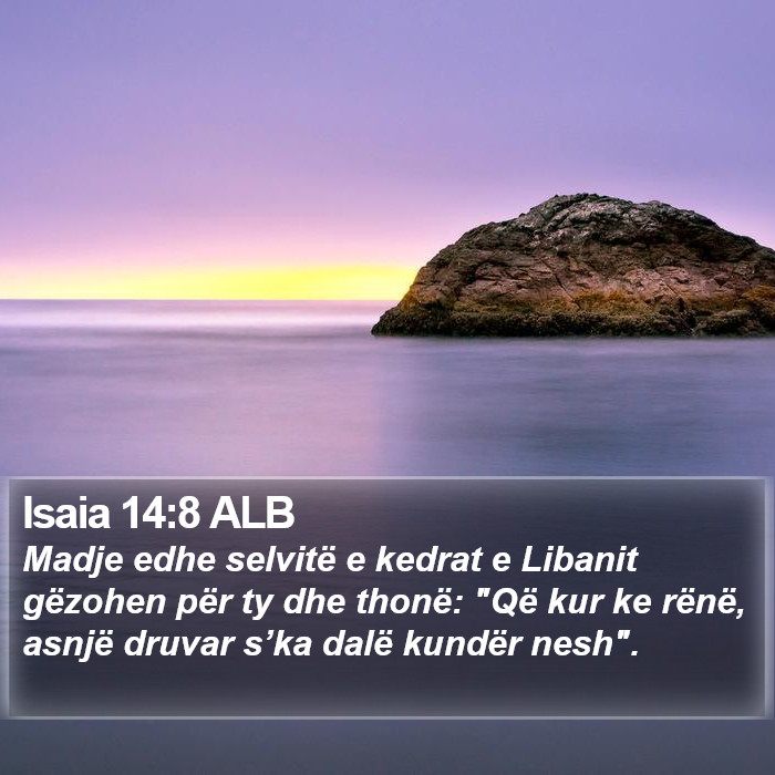 Isaia 14:8 ALB Bible Study