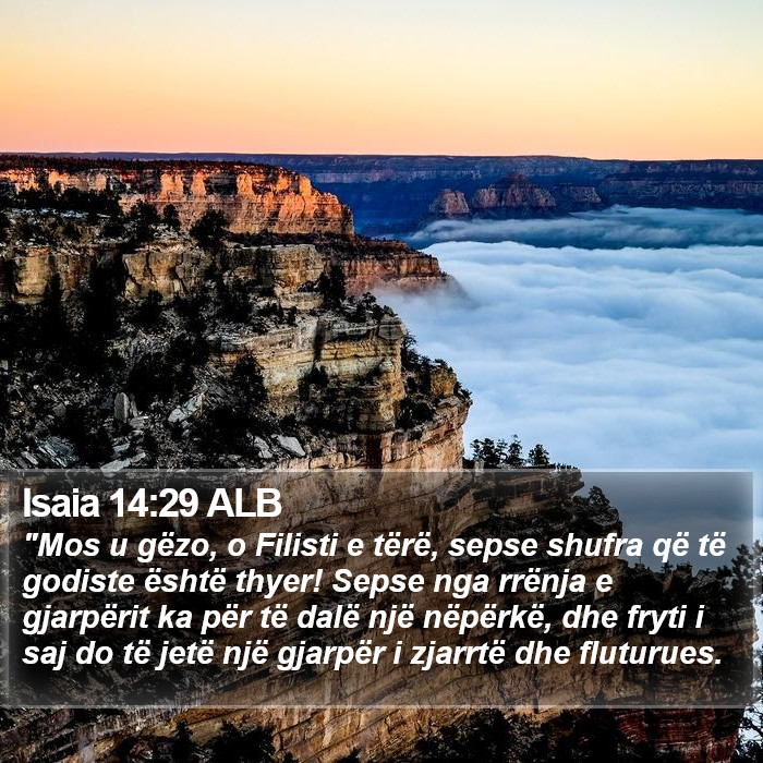 Isaia 14:29 ALB Bible Study