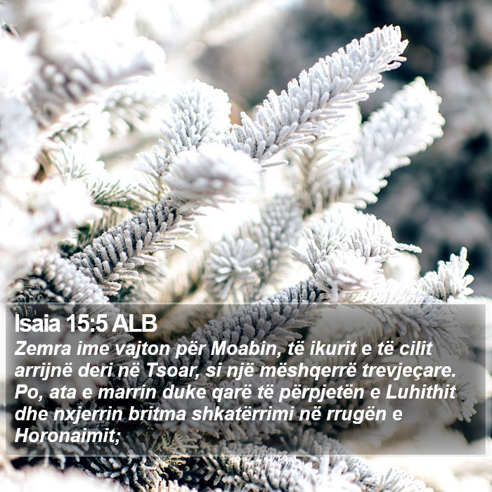 Isaia 15:5 ALB Bible Study