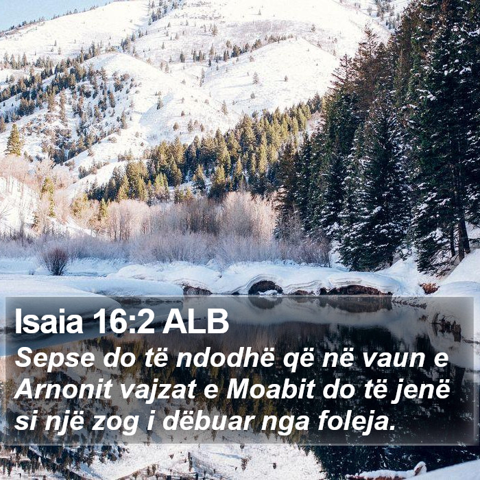 Isaia 16:2 ALB Bible Study