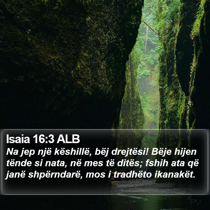 Isaia 16:3 ALB Bible Study