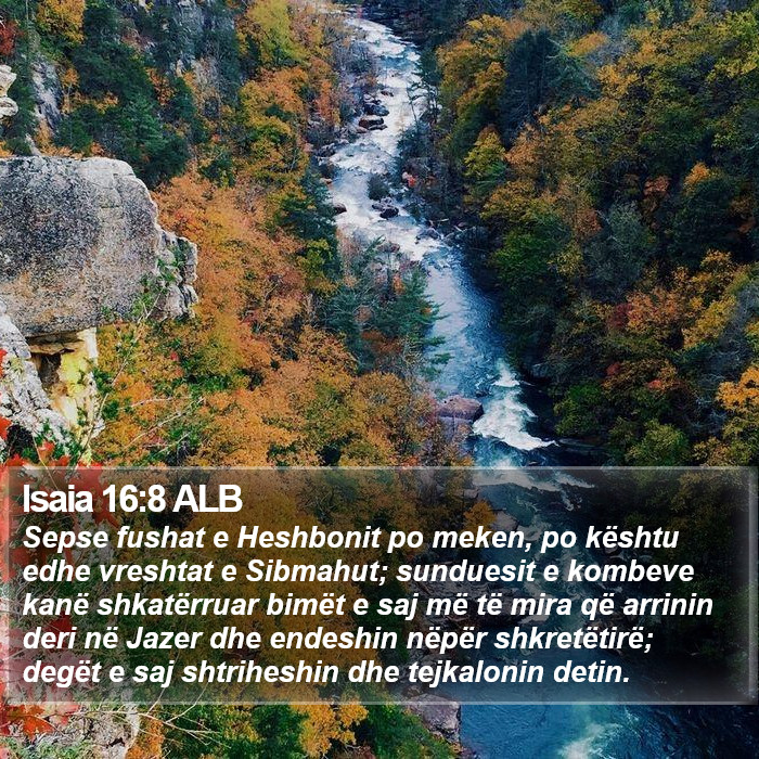 Isaia 16:8 ALB Bible Study