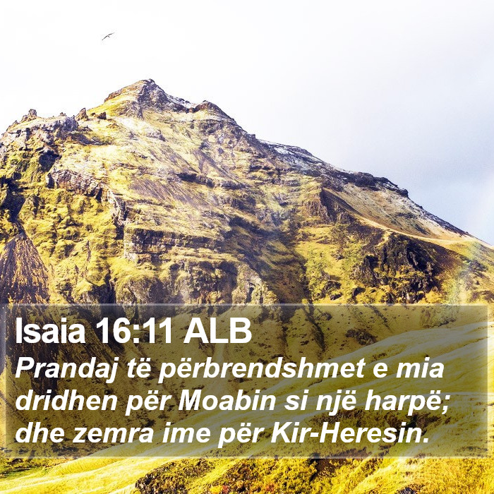 Isaia 16:11 ALB Bible Study