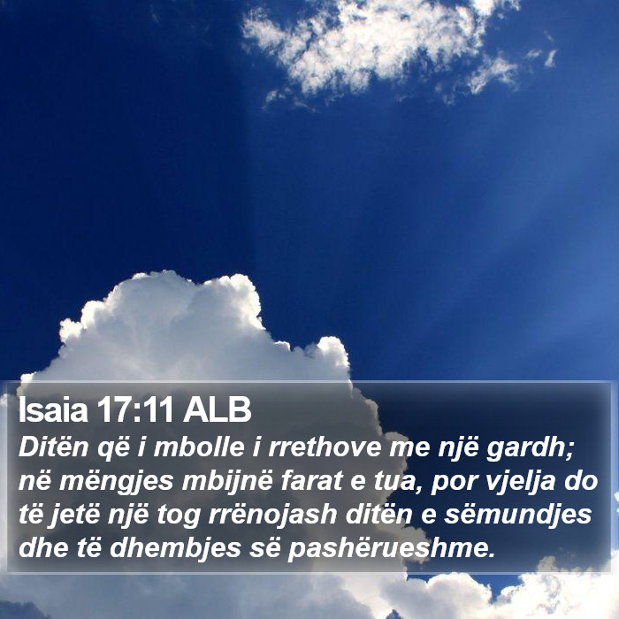 Isaia 17:11 ALB Bible Study