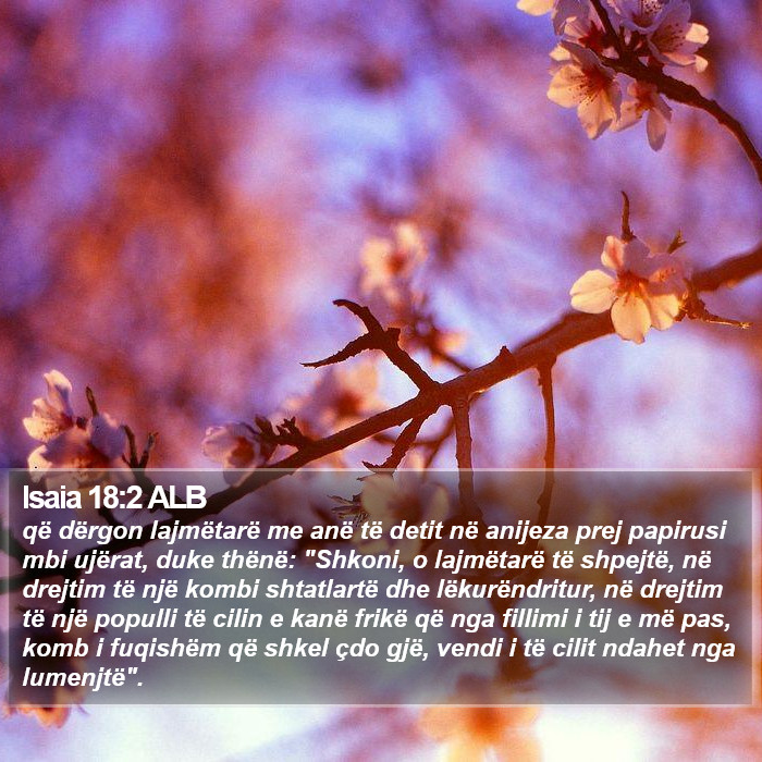 Isaia 18:2 ALB Bible Study