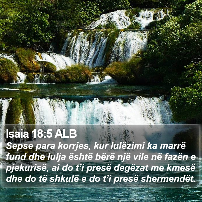 Isaia 18:5 ALB Bible Study