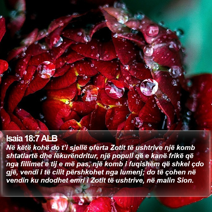 Isaia 18:7 ALB Bible Study