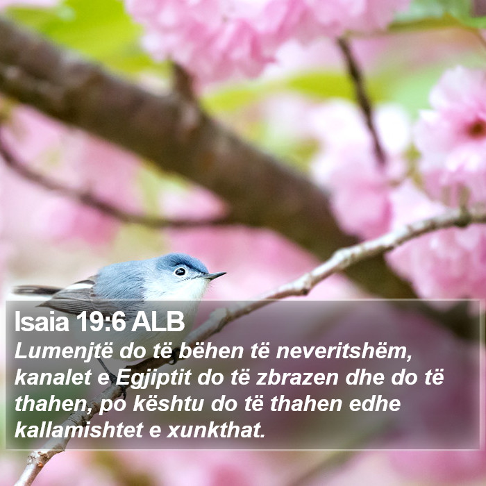 Isaia 19:6 ALB Bible Study