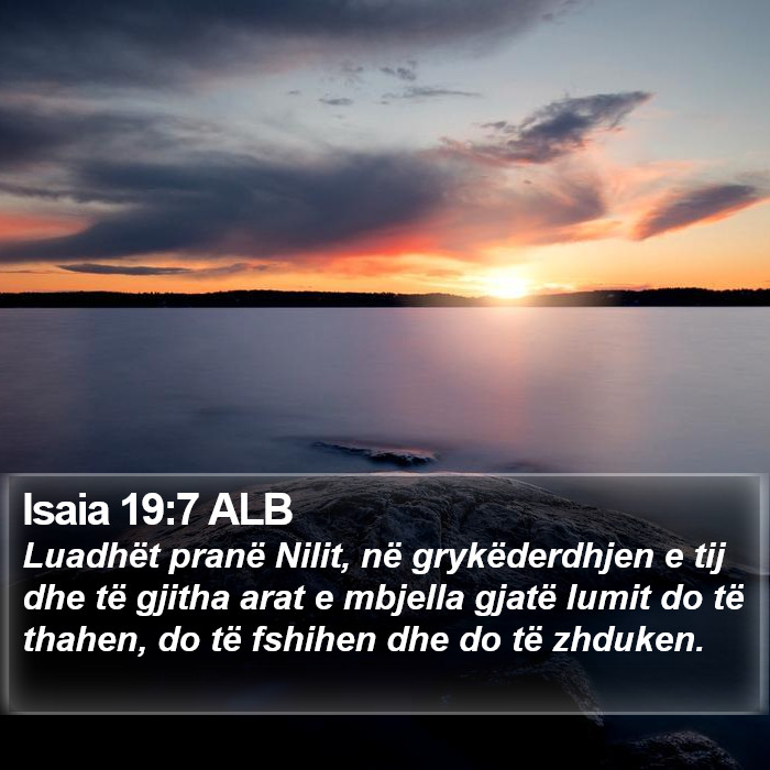 Isaia 19:7 ALB Bible Study