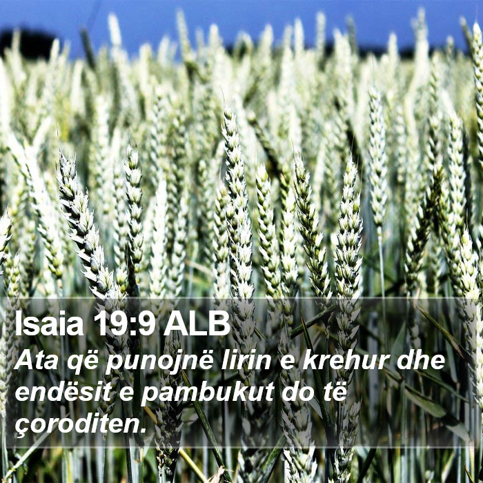 Isaia 19:9 ALB Bible Study