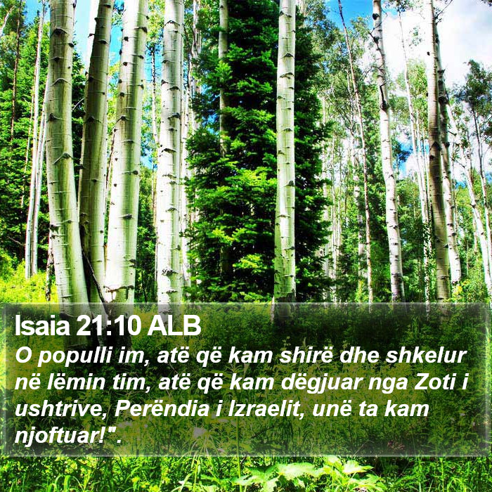 Isaia 21:10 ALB Bible Study