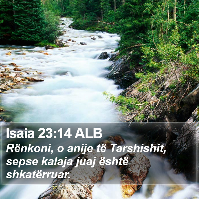 Isaia 23:14 ALB Bible Study