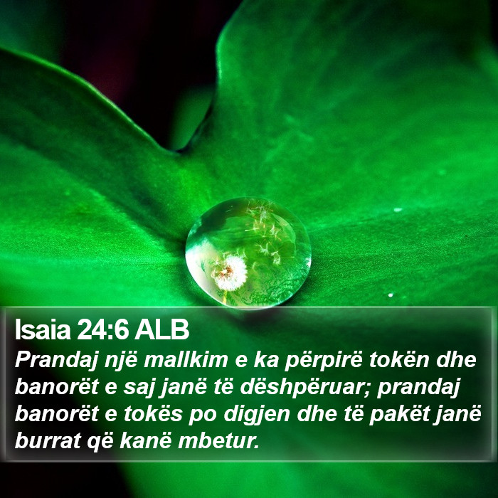 Isaia 24:6 ALB Bible Study