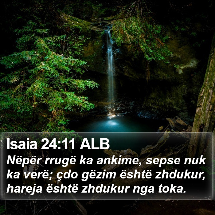Isaia 24:11 ALB Bible Study