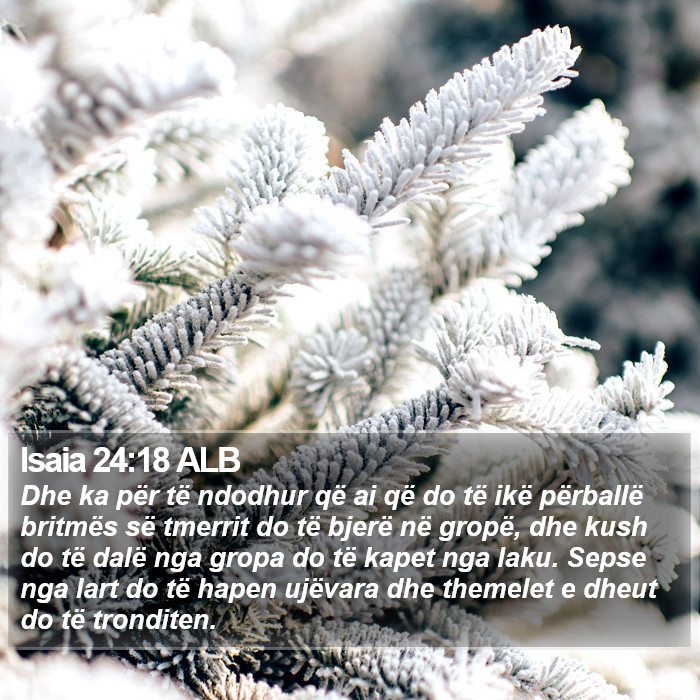 Isaia 24:18 ALB Bible Study