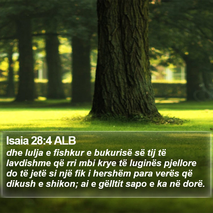 Isaia 28:4 ALB Bible Study