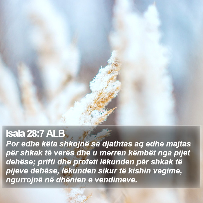 Isaia 28:7 ALB Bible Study