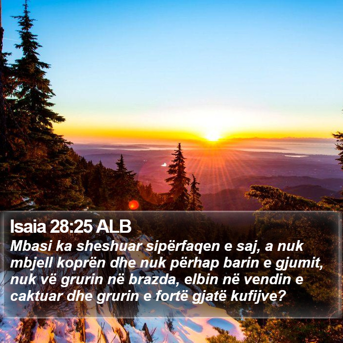 Isaia 28:25 ALB Bible Study