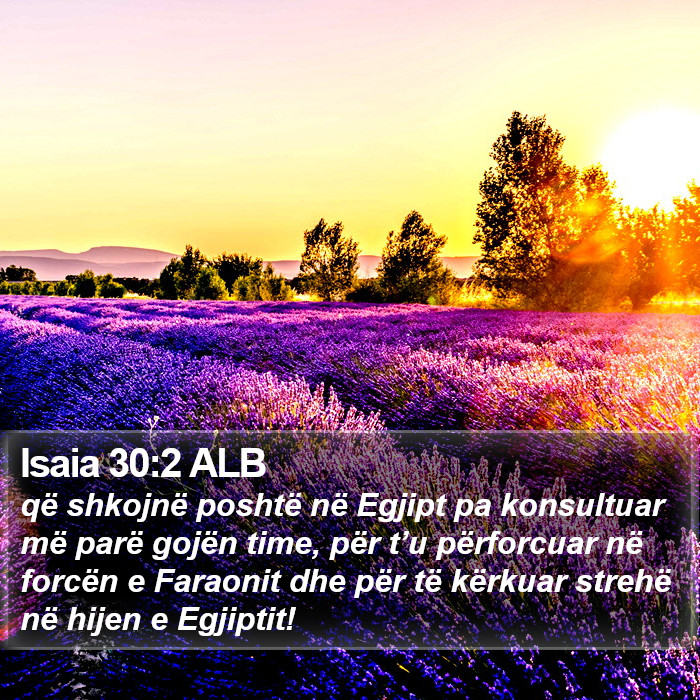 Isaia 30:2 ALB Bible Study