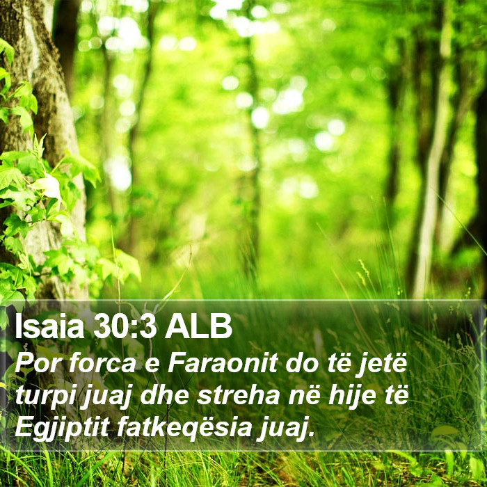 Isaia 30:3 ALB Bible Study