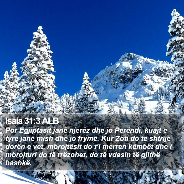 Isaia 31:3 ALB Bible Study