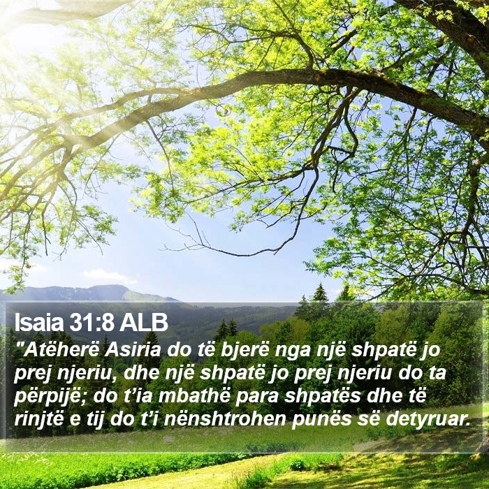 Isaia 31:8 ALB Bible Study