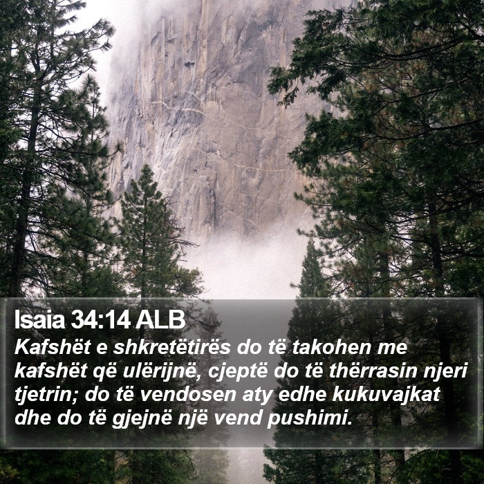 Isaia 34:14 ALB Bible Study