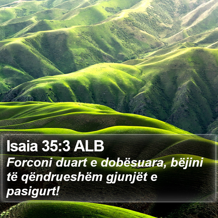 Isaia 35:3 ALB Bible Study