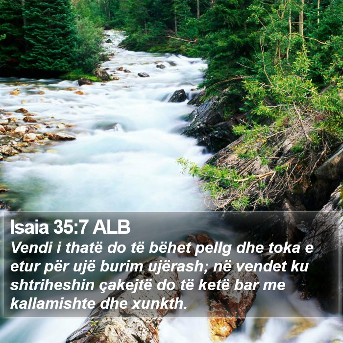 Isaia 35:7 ALB Bible Study