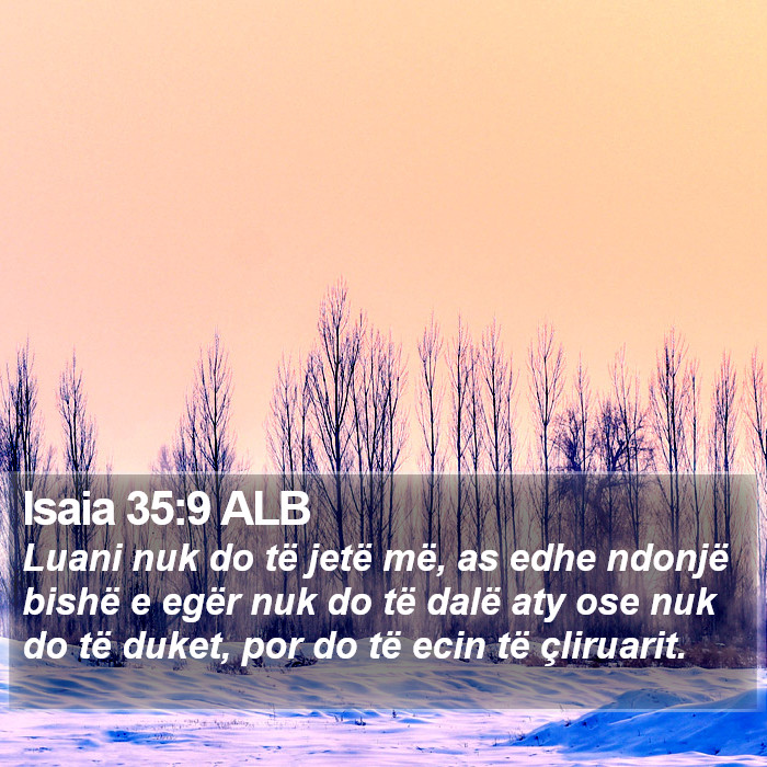 Isaia 35:9 ALB Bible Study