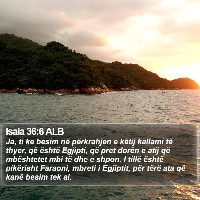 Isaia 36:6 ALB Bible Study