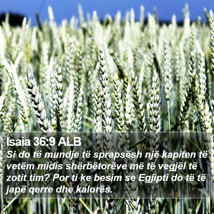 Isaia 36:9 ALB Bible Study