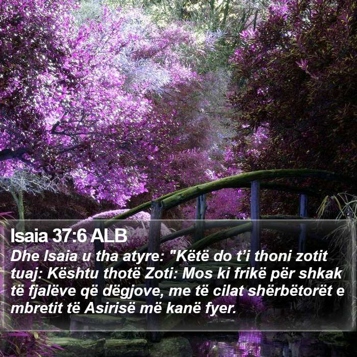 Isaia 37:6 ALB Bible Study