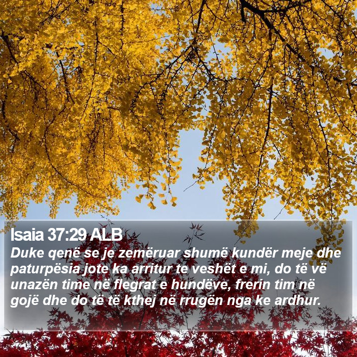 Isaia 37:29 ALB Bible Study